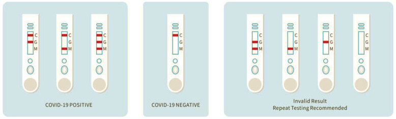 COVID Antibody Testing